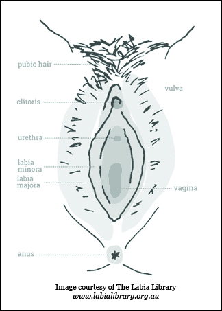 Vulva Love